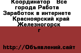 ONLINE Координатор - Все города Работа » Заработок в интернете   . Красноярский край,Железногорск г.